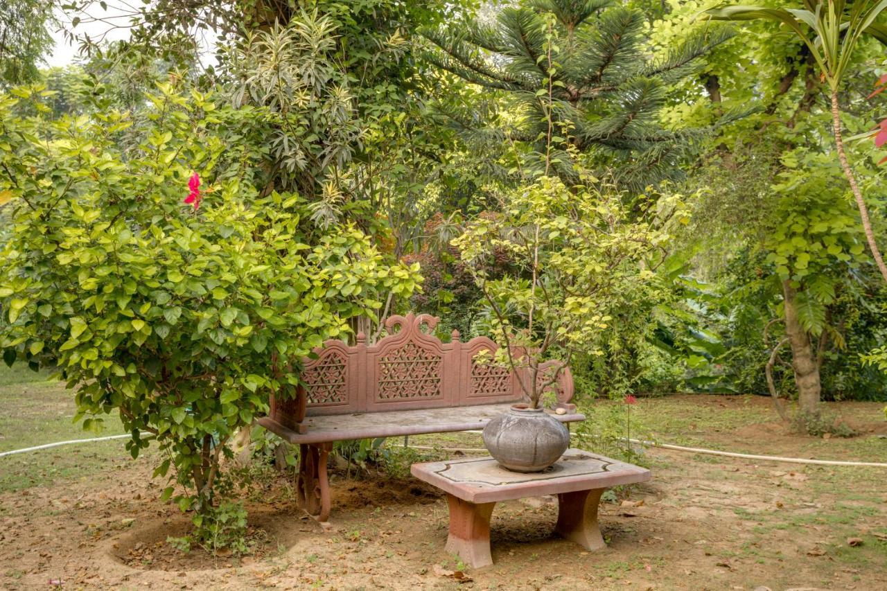 Hostie Chinar Haveli - Heritage Home With Pool, Gurgaon Exterior foto