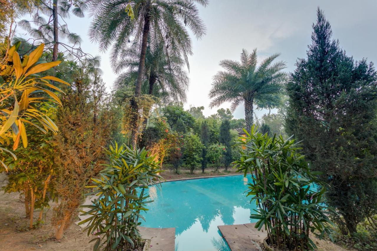 Hostie Chinar Haveli - Heritage Home With Pool, Gurgaon Exterior foto